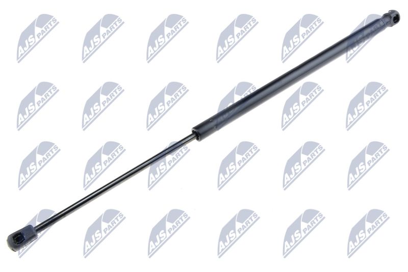 NTY AE-FR-006 Gas Spring, boot/cargo area