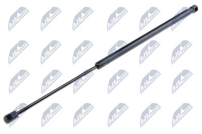 Gas Spring, boot/cargo area NTY AE-FR-006