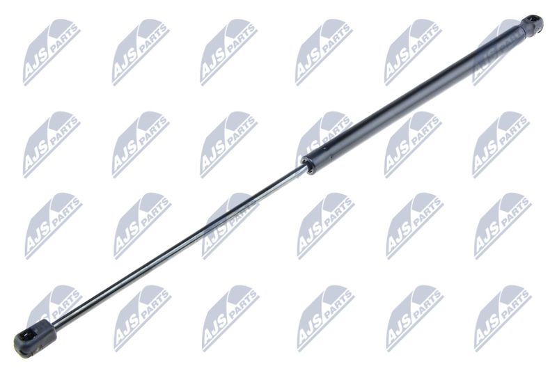 NTY AE-FR-007 Gas Spring, boot/cargo area