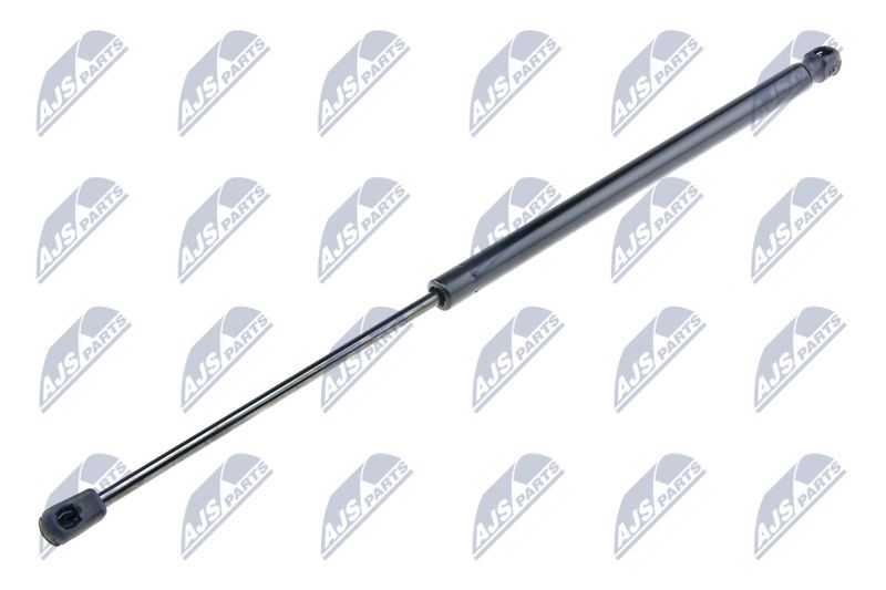 NTY AE-FR-009 Gas Spring, boot/cargo area