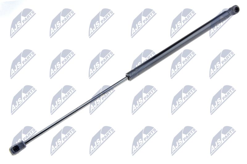 NTY AE-FR-010 Gas Spring, boot/cargo area