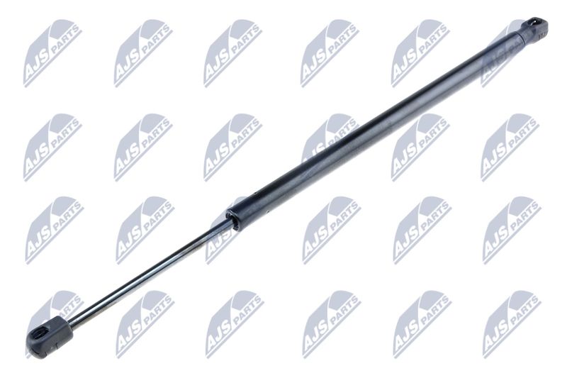 NTY AE-FR-012 Gas Spring, boot/cargo area