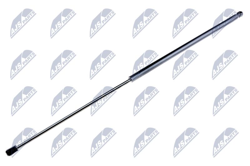 NTY AE-FR-019 Gas Spring, boot/cargo area