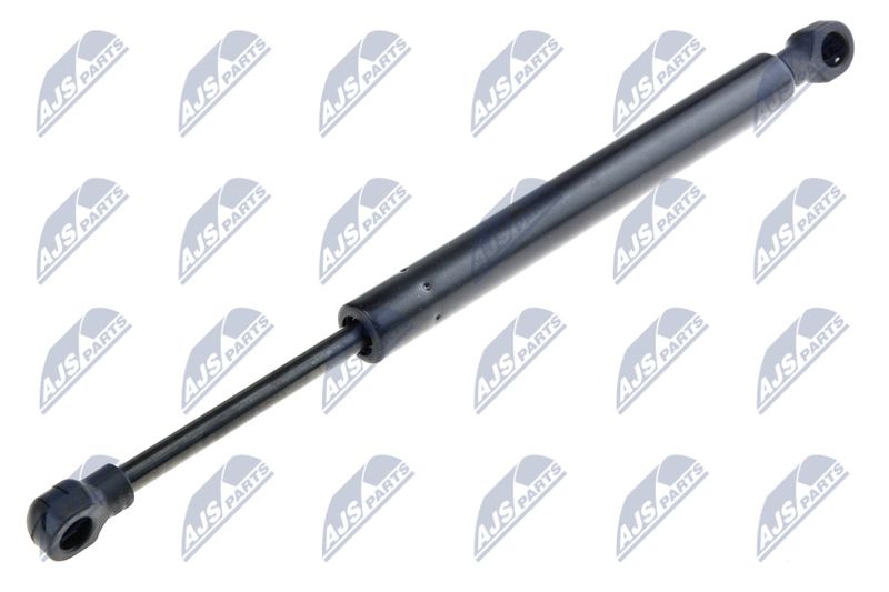 NTY AE-FR-024 Gas Spring, boot/cargo area