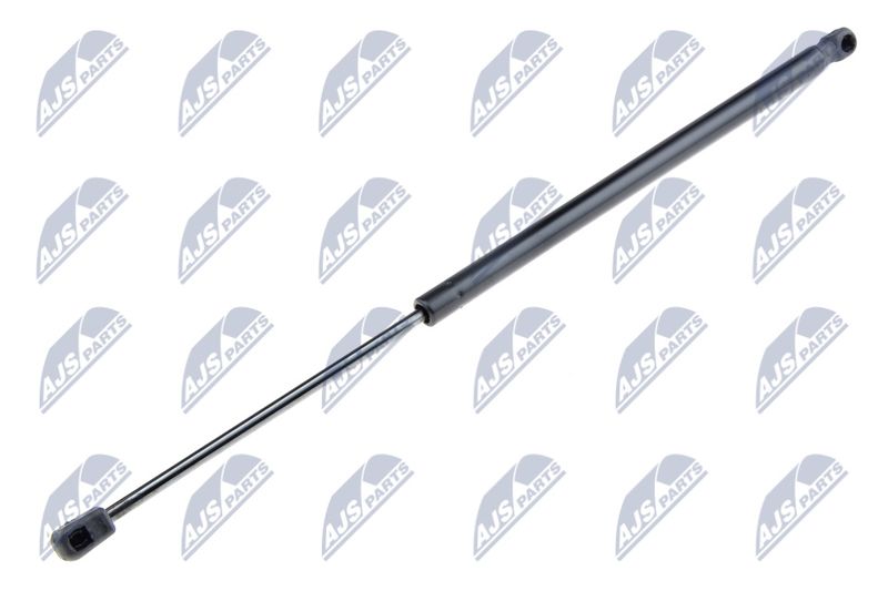 NTY AE-FR-025 Gas Spring, boot/cargo area