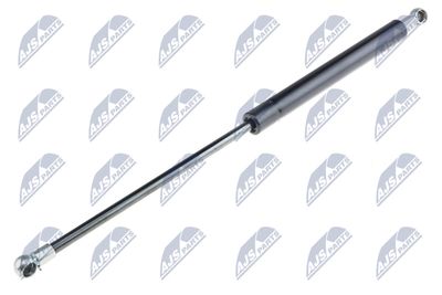Gas Spring, boot/cargo area NTY AE-FR-027
