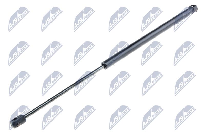 NTY AE-FR-036 Gas Spring, boot/cargo area