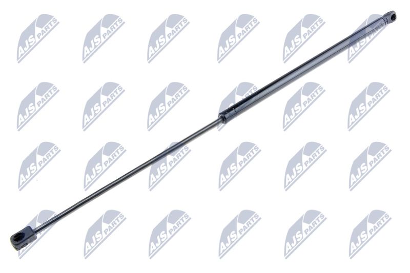 NTY AE-FR-038 Gas Spring, boot/cargo area