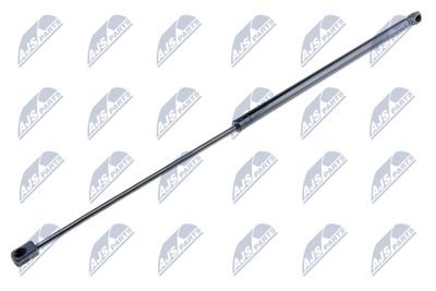 Gas Spring, boot/cargo area NTY AE-FR-038