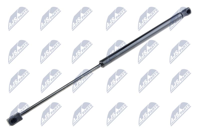 NTY AE-FR-041 Gas Spring, boot/cargo area