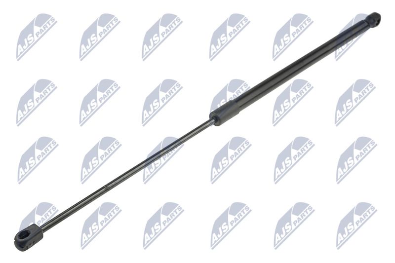 NTY AE-FR-058 Gas Spring, boot/cargo area