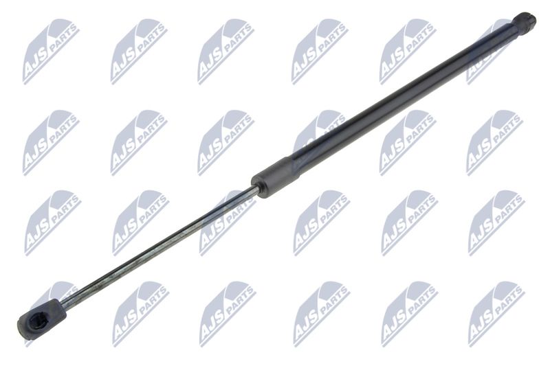 NTY AE-FR-062 Gas Spring, boot/cargo area