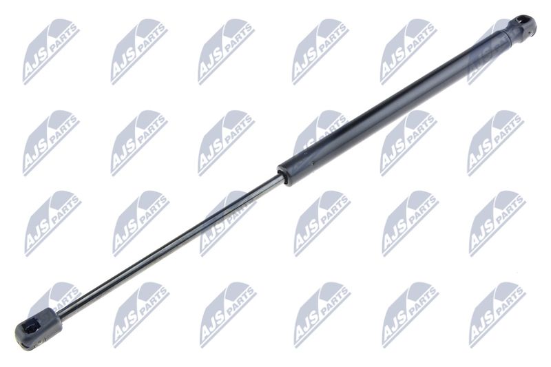 NTY AE-FT-000 Gas Spring, boot/cargo area