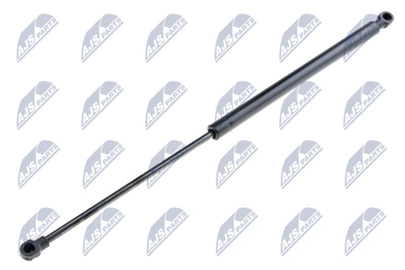NTY AE-FT-005 Gas Spring, boot/cargo area