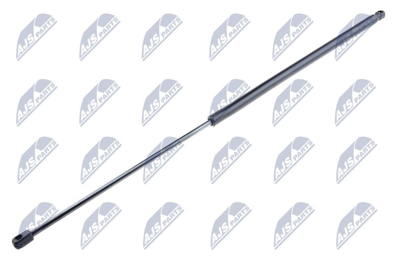 NTY AE-FT-006 Gas Spring, boot/cargo area