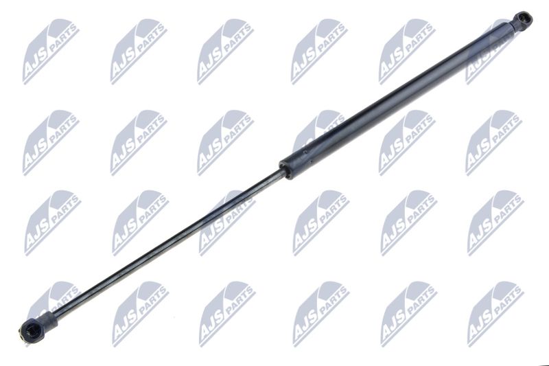 NTY AE-FT-007 Gas Spring, boot/cargo area