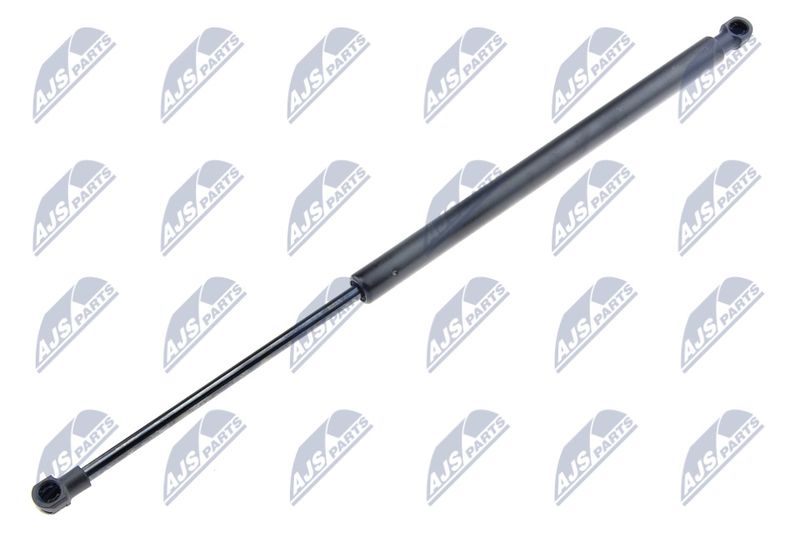 NTY AE-FT-016 Gas Spring, boot/cargo area