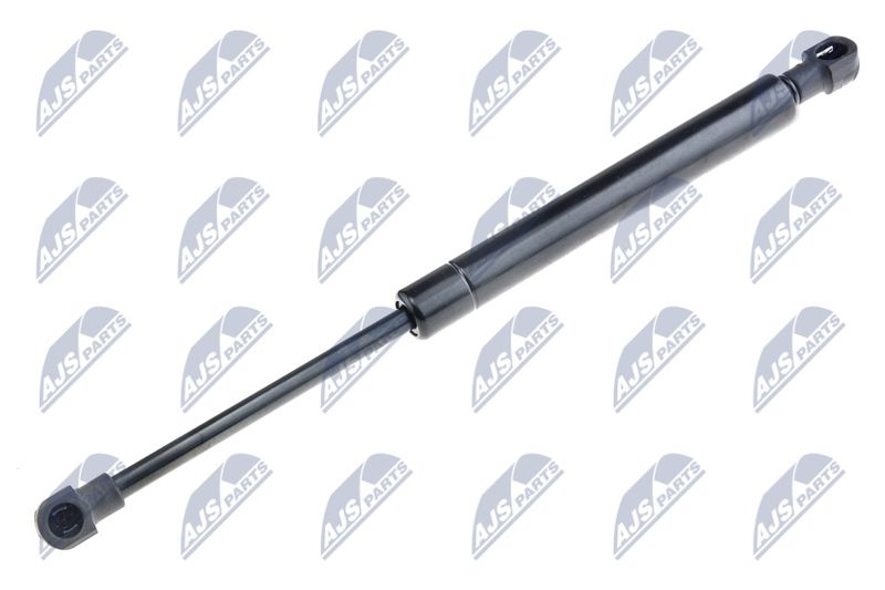 NTY AE-FT-023 Gas Spring, boot/cargo area