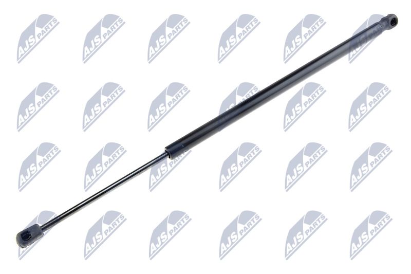 NTY AE-FT-024 Gas Spring, boot/cargo area