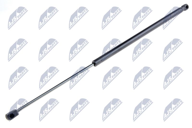 NTY AE-FT-031 Gas Spring, boot/cargo area