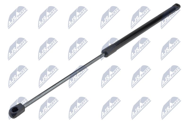 NTY AE-FT-045 Gas Spring, boot/cargo area