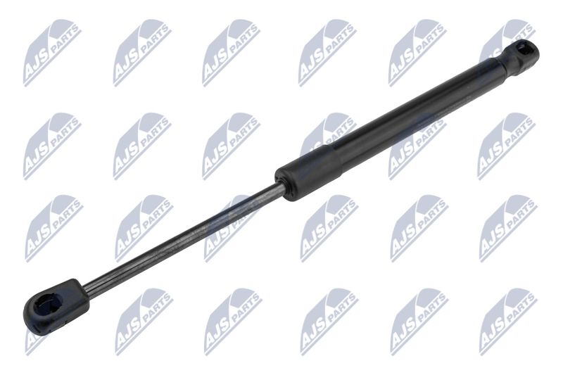 NTY AE-LR-014 Gas Spring, bonnet