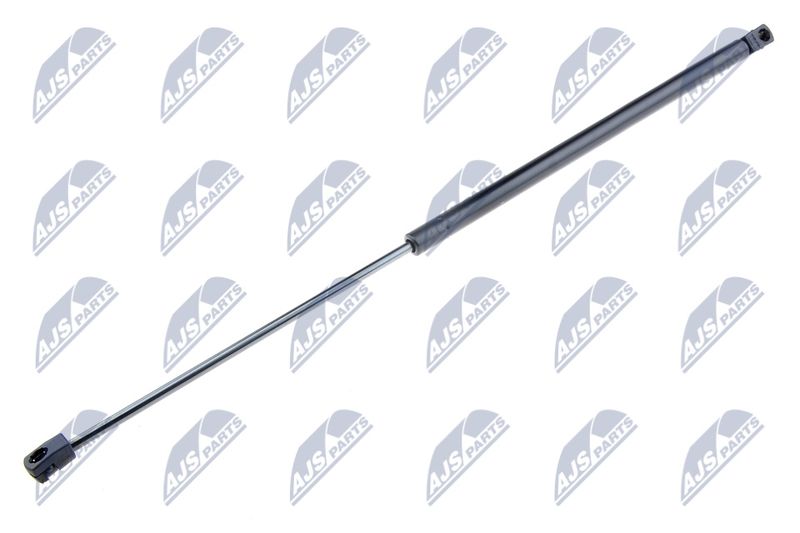 NTY AE-ME-012 Gas Spring, bonnet
