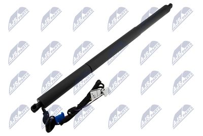 Electric Motor, tailgate NTY AE-ME-091