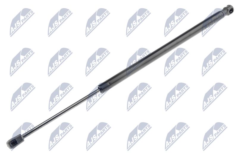 NTY AE-MZ-006 Gas Spring, boot/cargo area