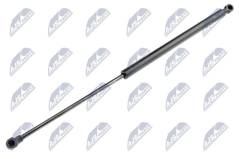 NTY AE-NS-000 Gas Spring, boot/cargo area