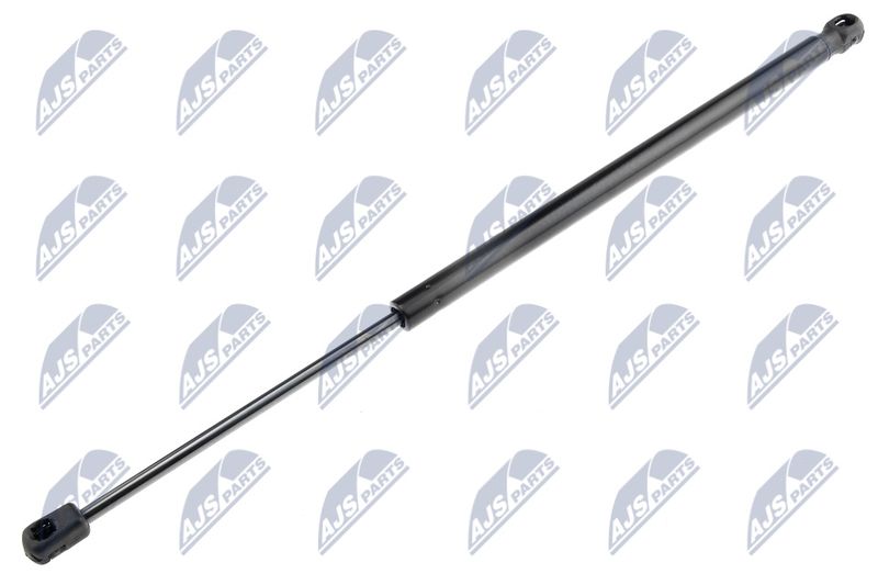 NTY AE-NS-001 Gas Spring, boot/cargo area
