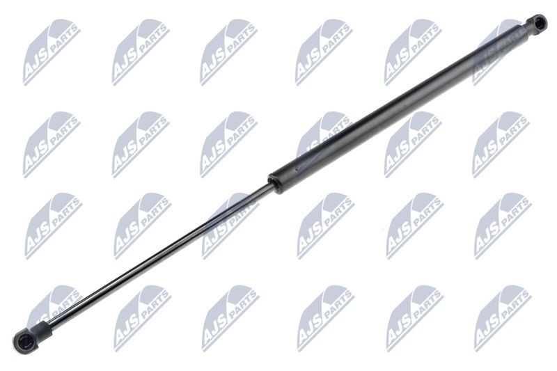 NTY AE-NS-006 Gas Spring, boot/cargo area