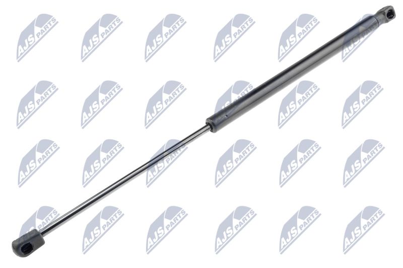 NTY AE-PE-000 Gas Spring, boot/cargo area