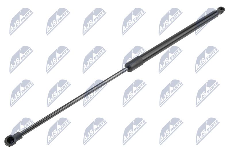 NTY AE-PE-038 Gas Spring, boot/cargo area