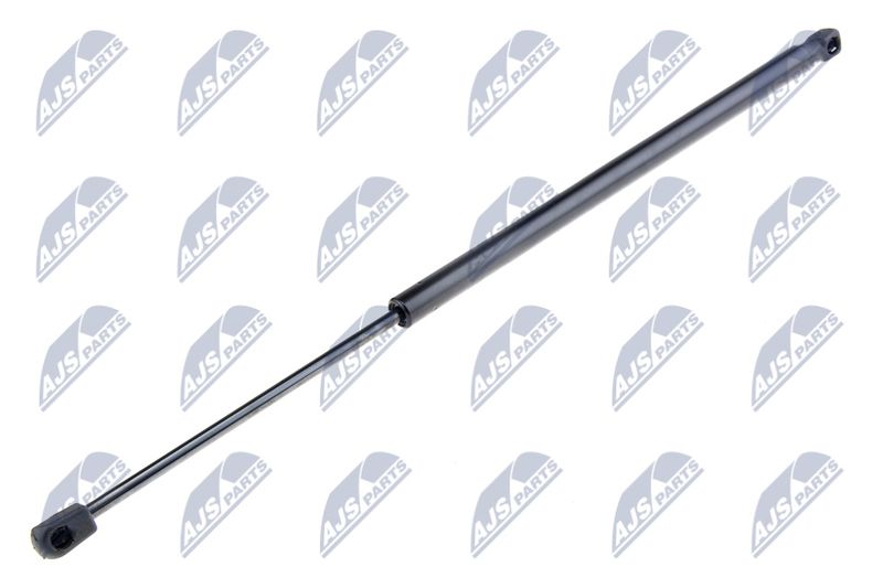 NTY AE-PL-004 Gas Spring, boot/cargo area
