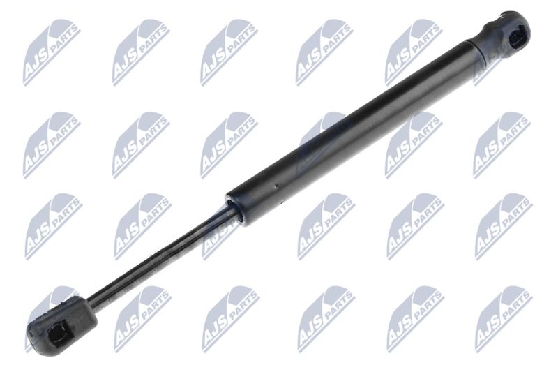 NTY AE-PL-019 Gas Spring, boot/cargo area