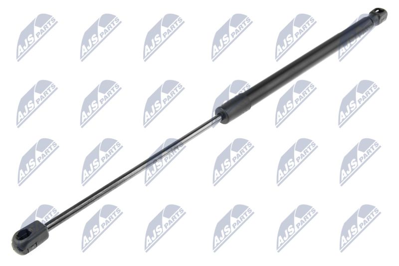 NTY AE-PL-062 Gas Spring, boot/cargo area