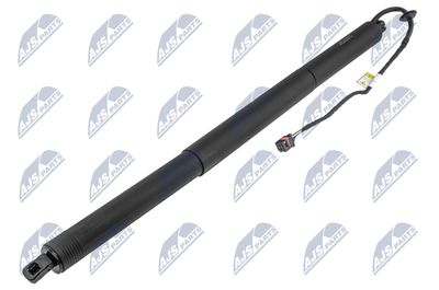 Electric Motor, tailgate NTY AE-PS-003