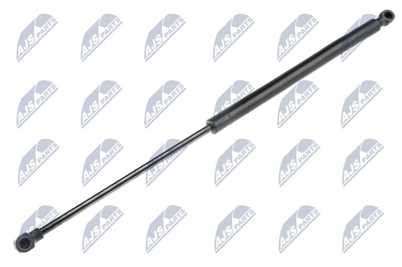 NTY AE-RE-019 Gas Spring, boot/cargo area