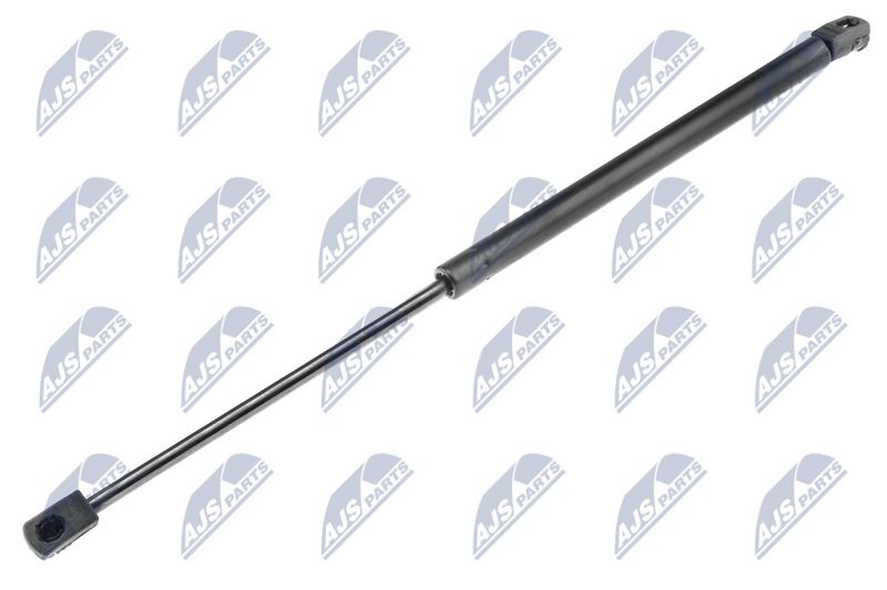 NTY AE-RE-025 Gas Spring, boot/cargo area