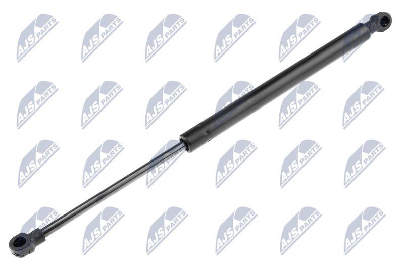 NTY AE-RE-031 Gas Spring, boot/cargo area