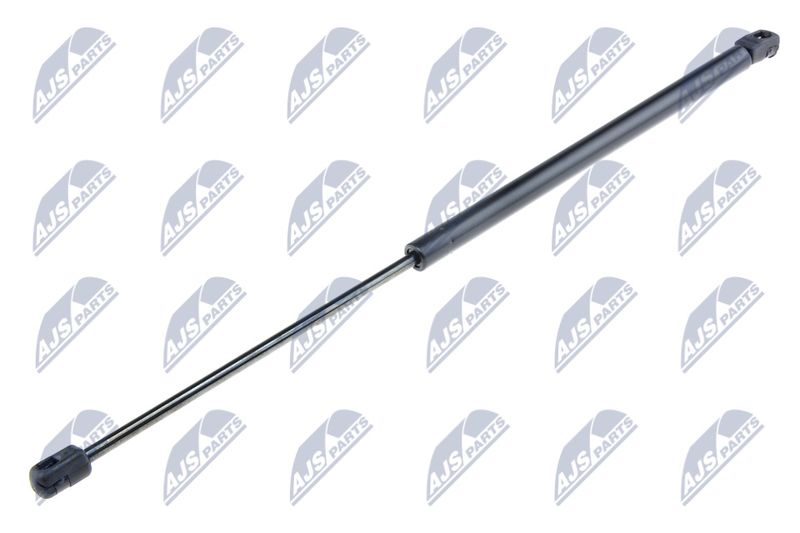 NTY AE-RE-053 Gas Spring, boot/cargo area