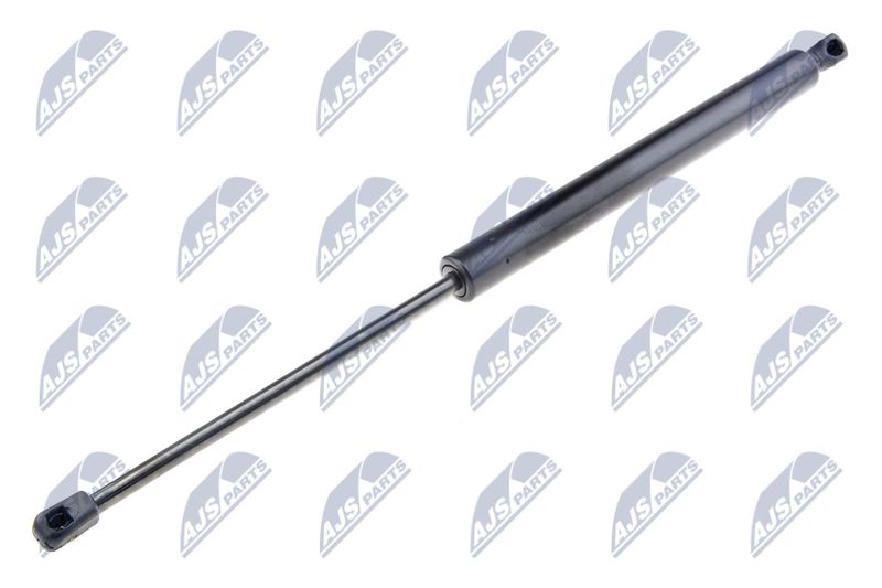 NTY AE-RE-057 Gas Spring, boot/cargo area