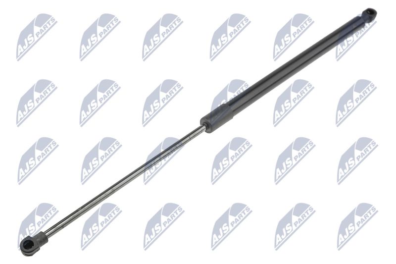 NTY AE-RE-062 Gas Spring, boot/cargo area