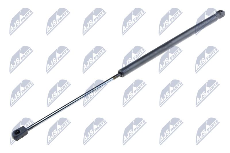 NTY AE-SA-000 Gas Spring, boot/cargo area