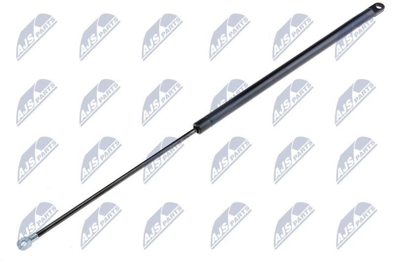 NTY AE-SA-008 Gas Spring, bonnet