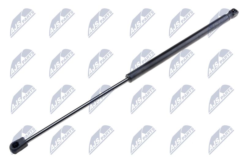 NTY AE-SE-001 Gas Spring, boot/cargo area