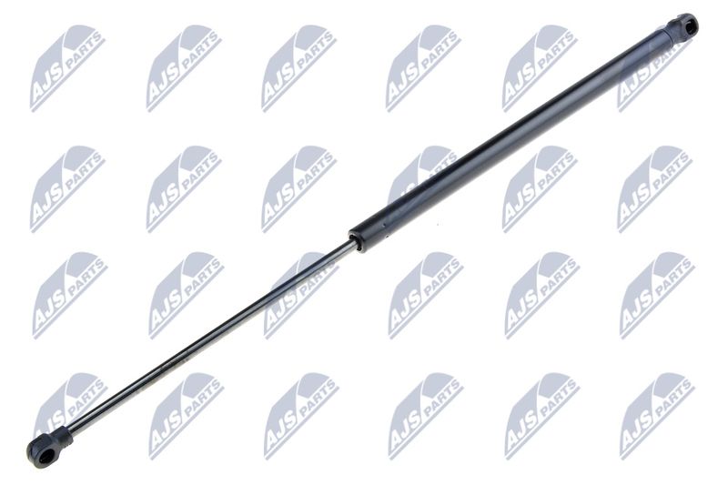 NTY AE-SE-008 Gas Spring, boot/cargo area