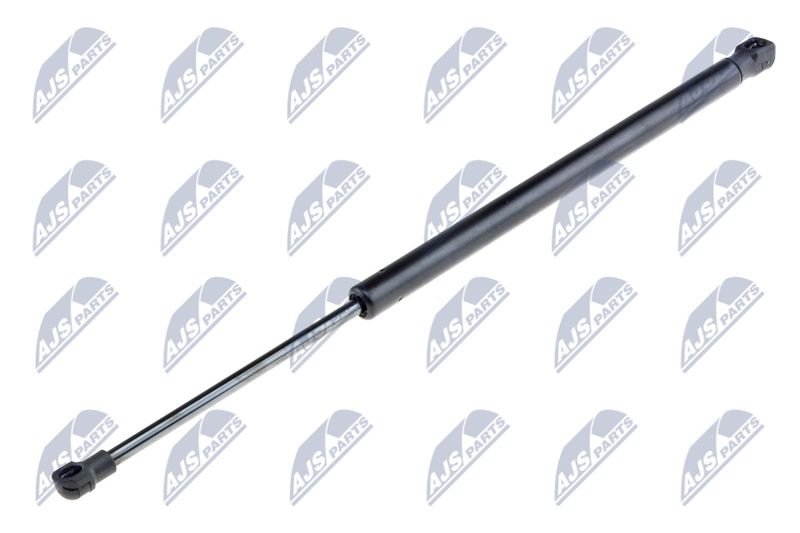 NTY AE-SE-009 Gas Spring, boot/cargo area