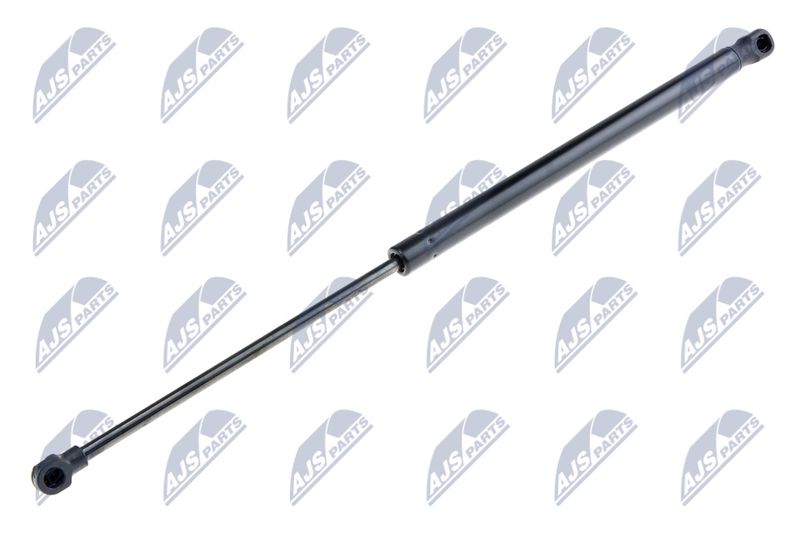 NTY AE-SE-010 Gas Spring, boot/cargo area